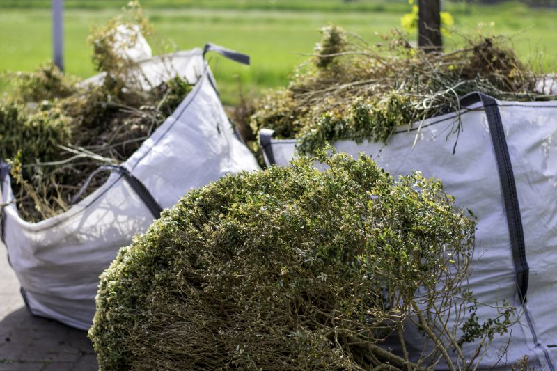 Thicket Clearing