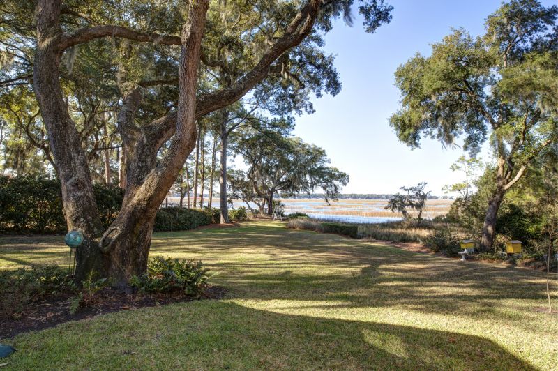 Products For Thicket Clearings in use