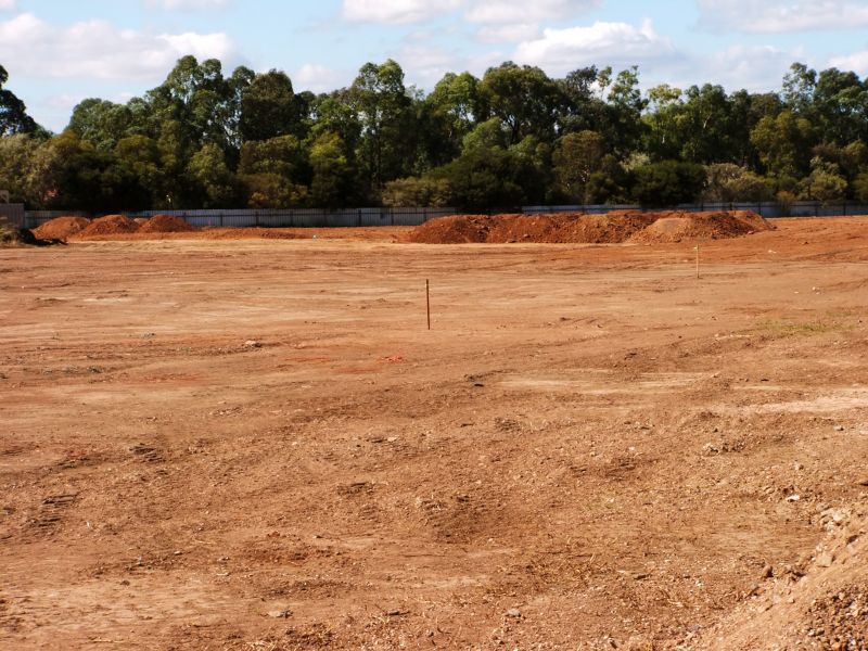 Structured Landscape Clearing