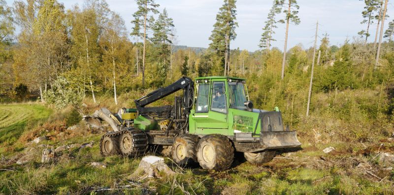 Forestry Clearing Teams